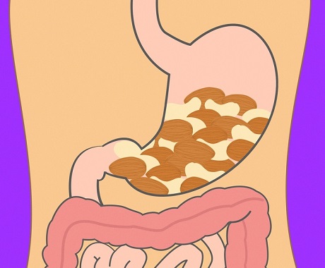 optimal food culture for-continuous health,زمان هزم آجیل